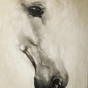 Equine Study