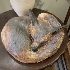 Fox Nap