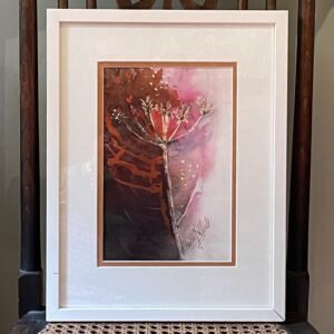 Cow Parsley in Winter Sun