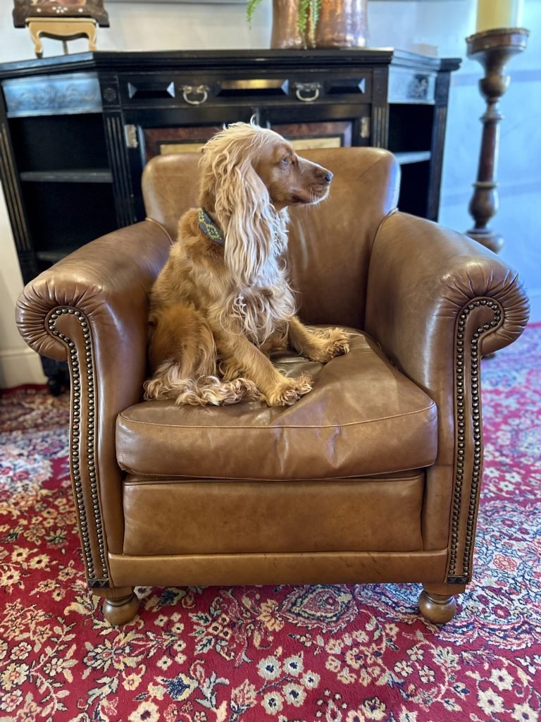MollyChair2
