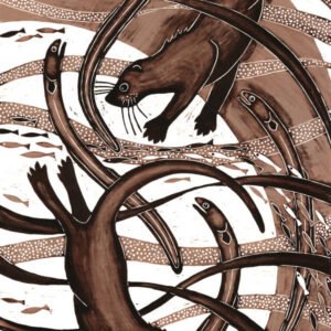 Otters and Eels