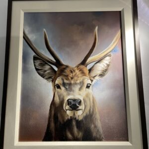 Highland Stag