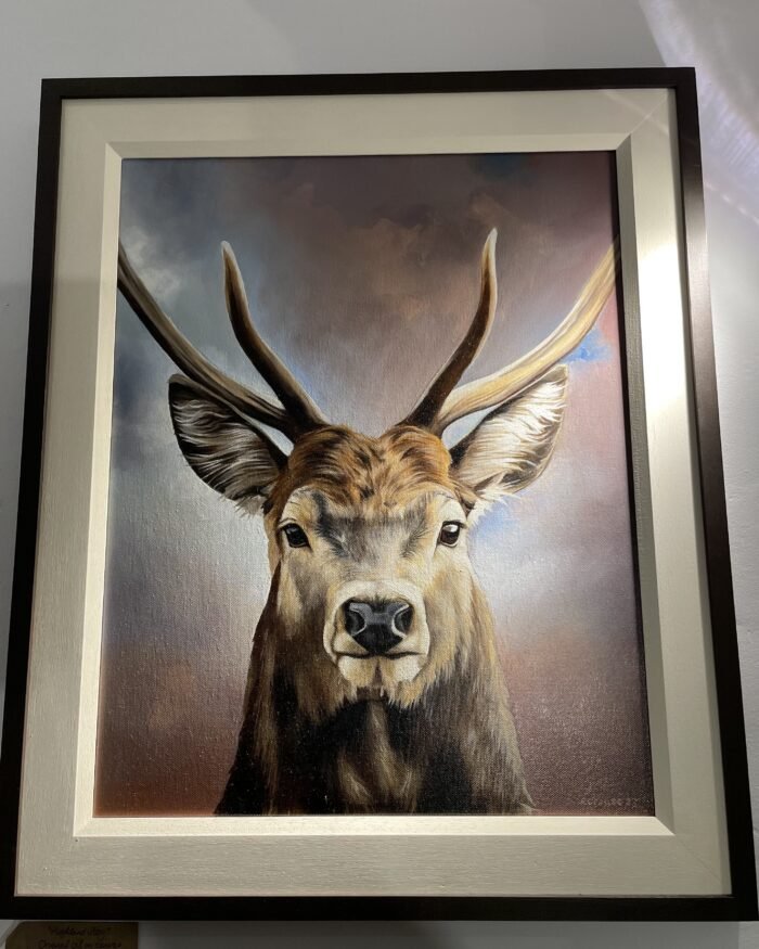 Highland Stag