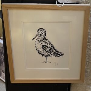 Woodcock